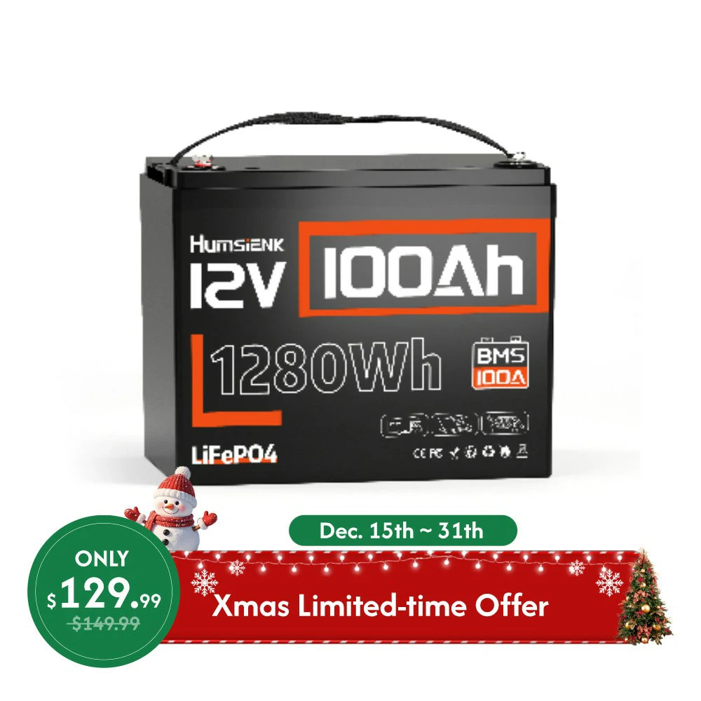 🎁Xmas Special] 12V 100Ah Group 24 LiFePO4 Battery with 100A BMS