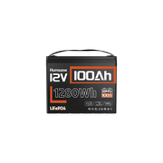 Humsienk 12V 100Ah Group 24 LiFePO4 Battery