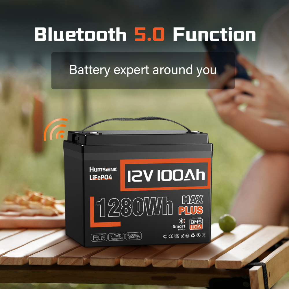 [⚡Black Friday Offer] 12V 100Ah Max Plus Bluetooth LiFePO4 Battery with 110A BMS
