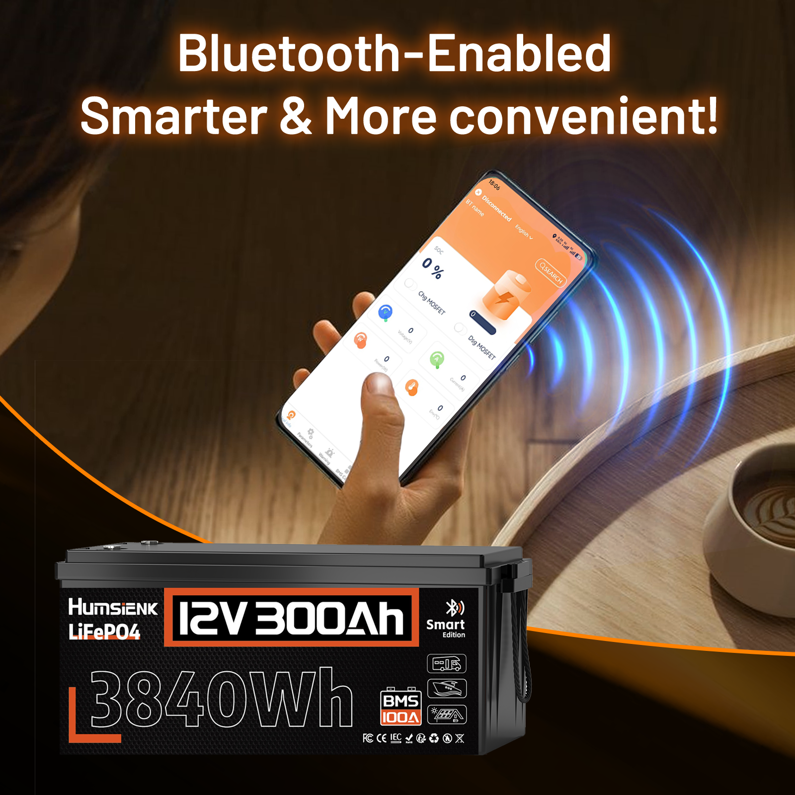 [⚡Black Friday Offer] 12V 300Ah LiFePO4 Bluetooth Battery with 100A BMS
