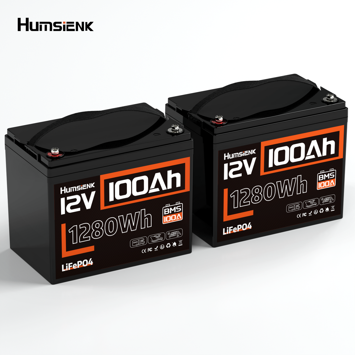 Humsienk_12V_100Ah_Group_24_LIFePO4_2PACK