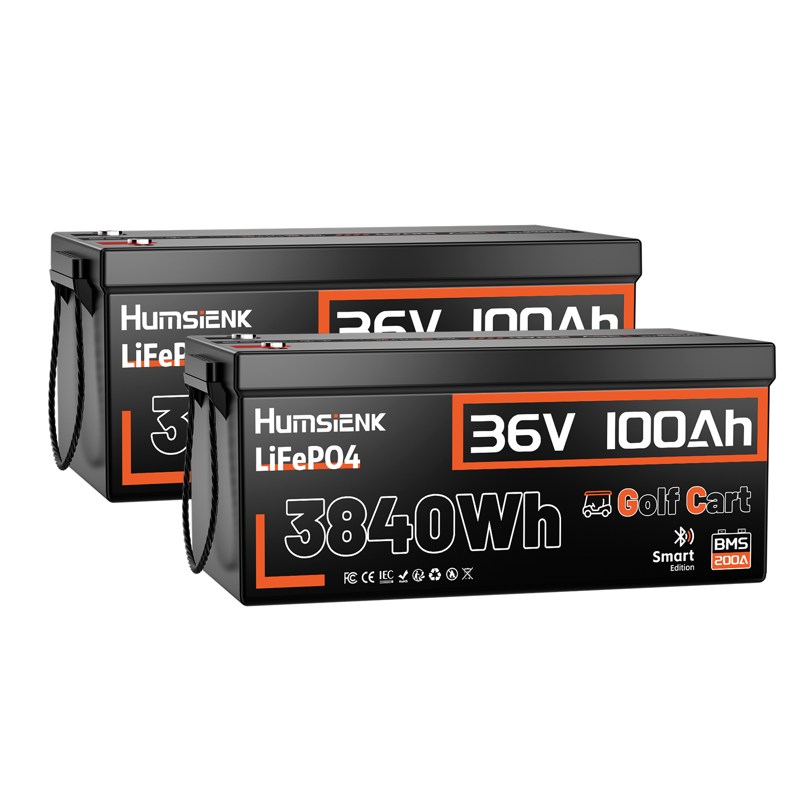 Humsienk 36V 100Ah golf cart battery 2 Units